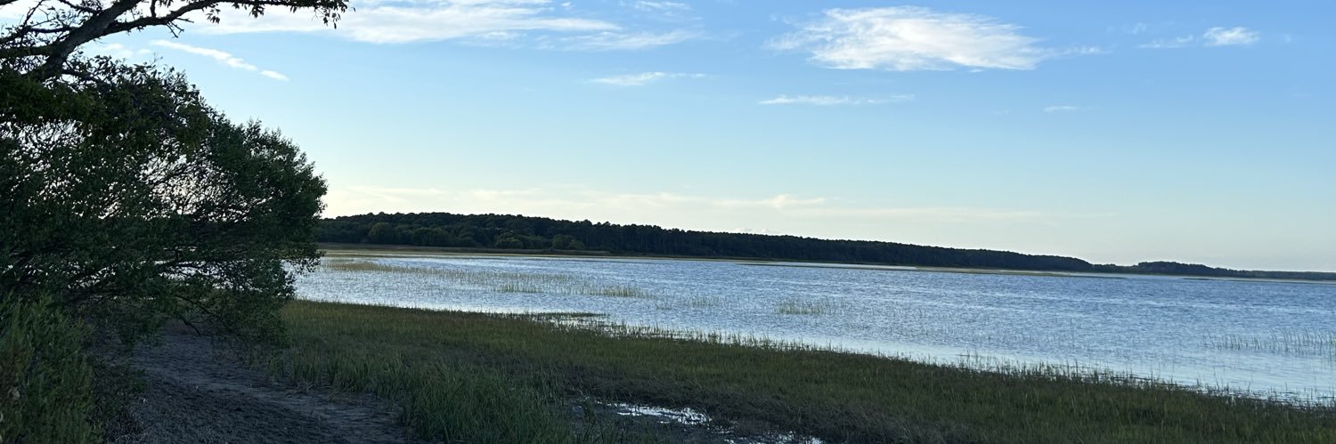 holligoLightly banner