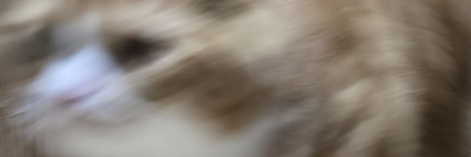 らみあす banner