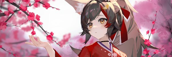 HivanWiiLad Profile Banner