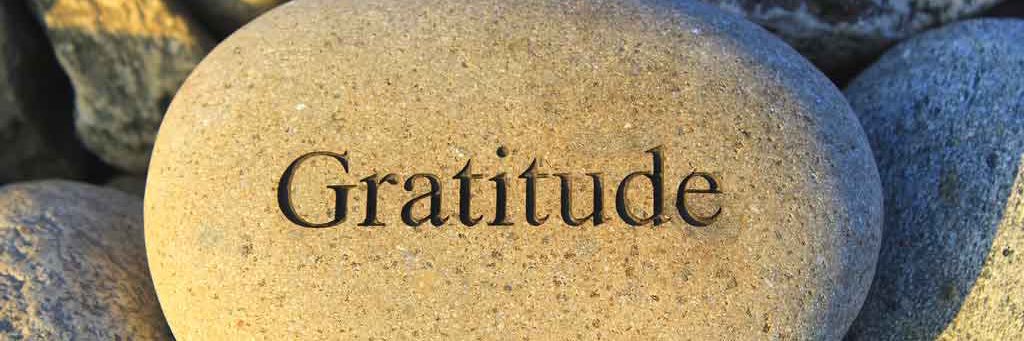 Daniel Jarrett banner