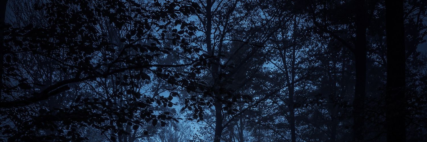 MLoreEfe's profile banner image