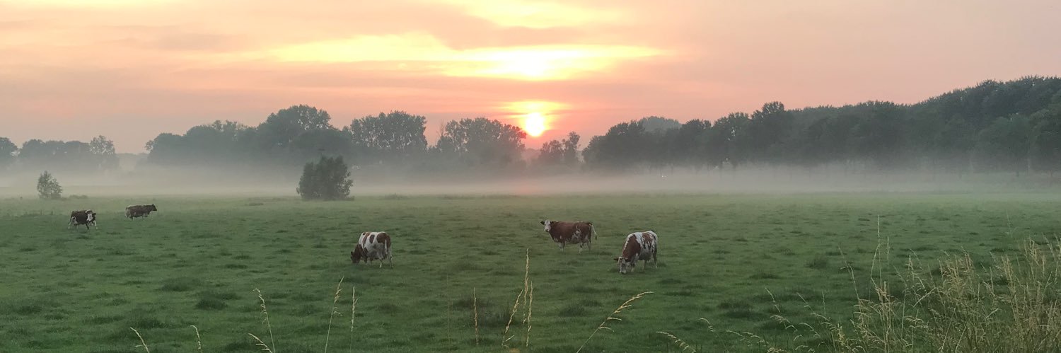 ymatthijsse's profile banner image