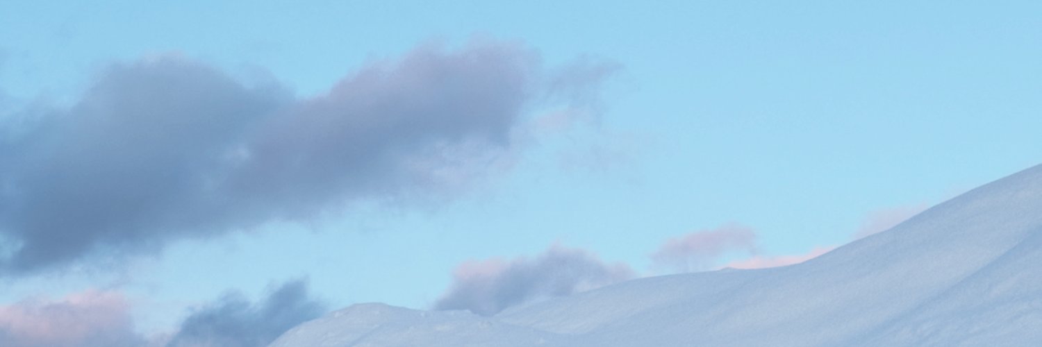 tora🐯 banner