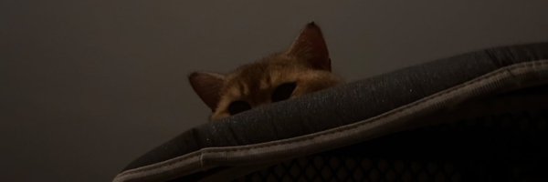 tdanielch Profile Banner