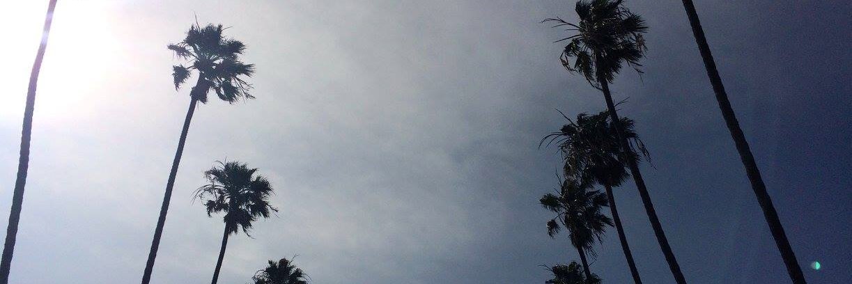 daniela frangos banner