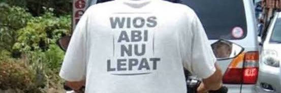 wiosabinulepat's profile banner image