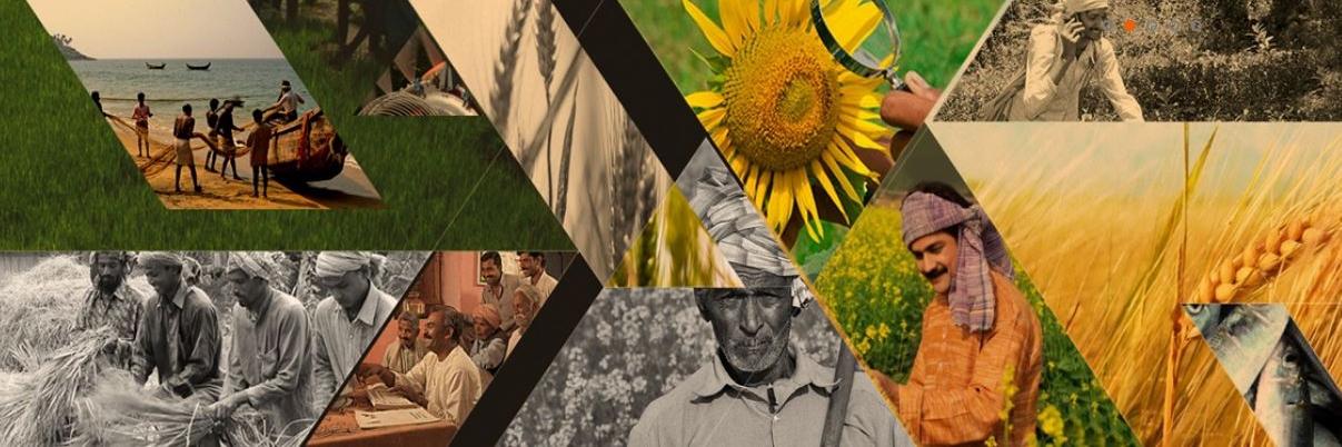 National Rainfed Area Authority banner