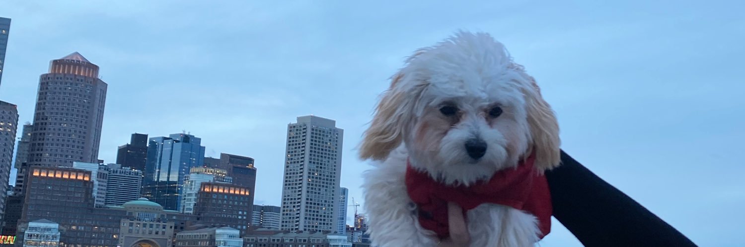 flgoodman's profile banner image