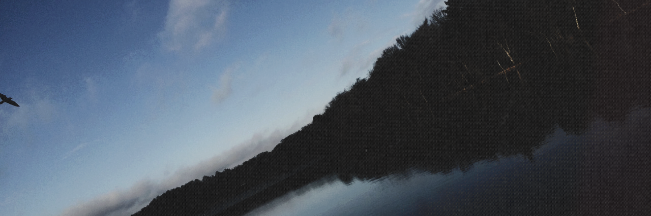 SilaaLovato's profile banner image