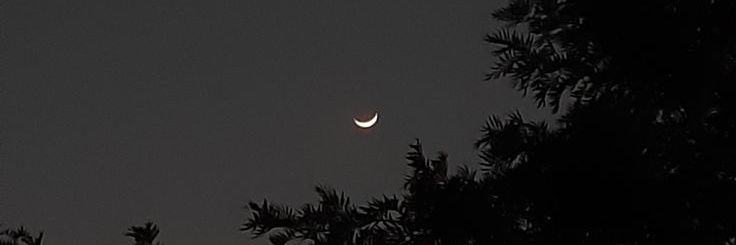 _moondustt's profile banner image