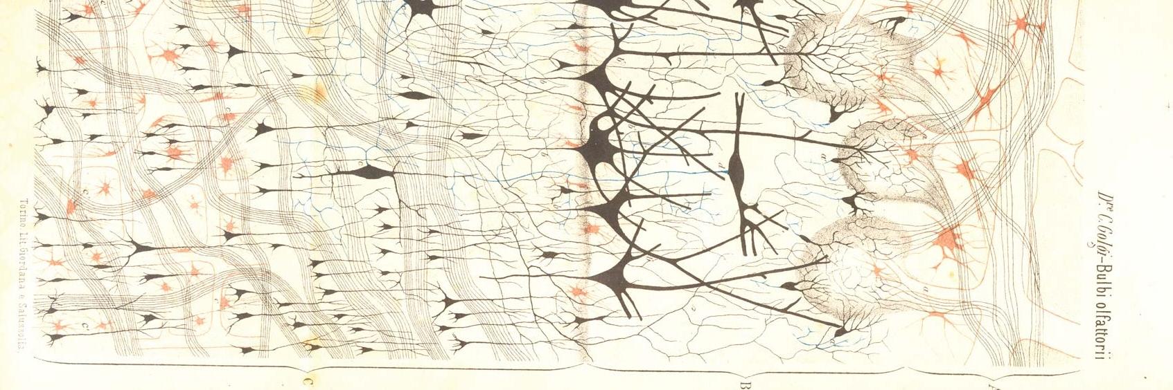 Foteini Simistira Liwicki banner