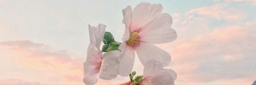 นู๋วิส banner