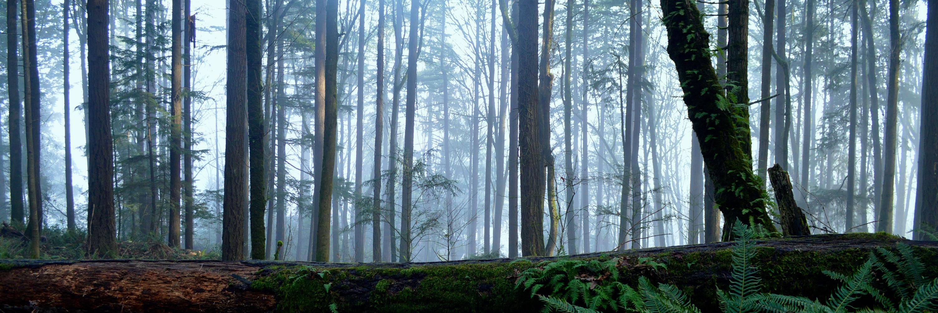 toddhaynes's profile banner image