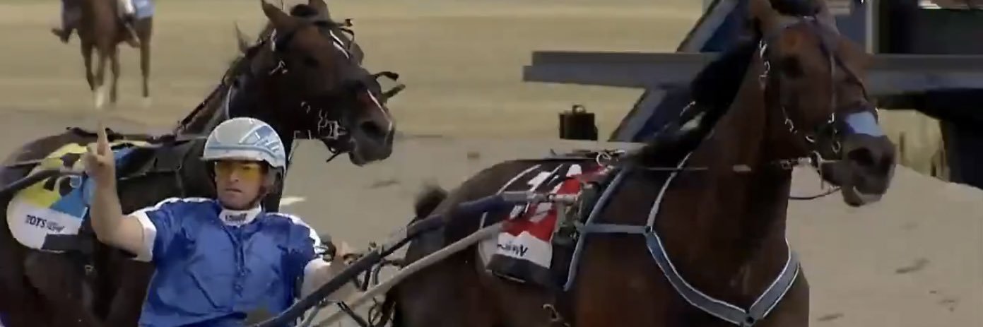 Anthony Crossland Harness Racing Stables banner
