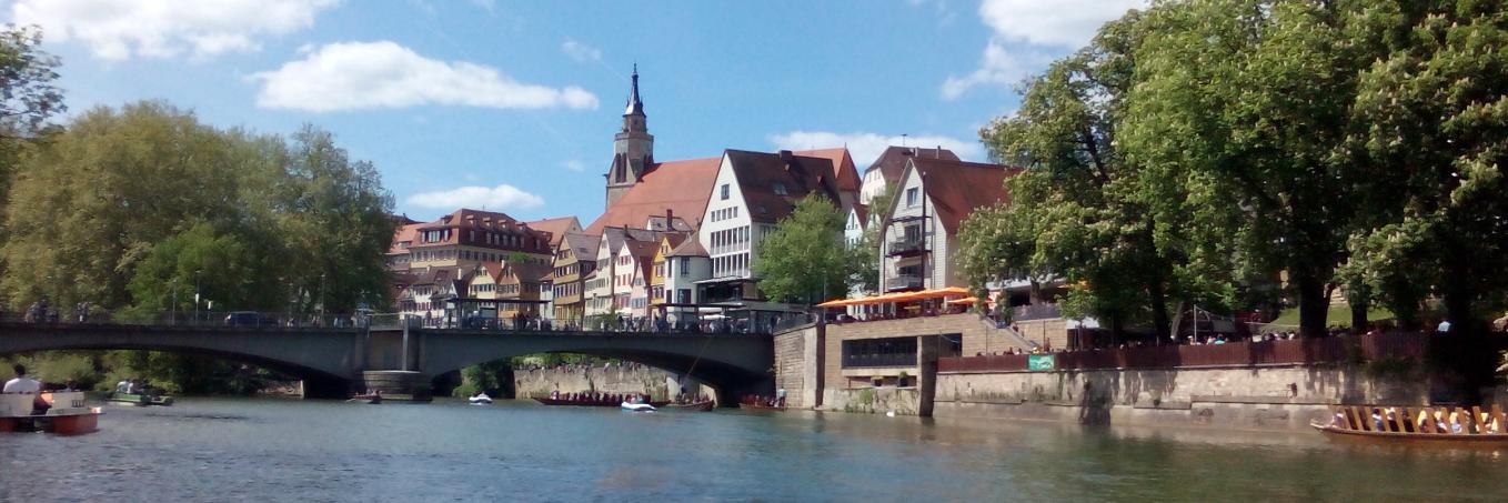 Ari Arrenberg's Lab banner