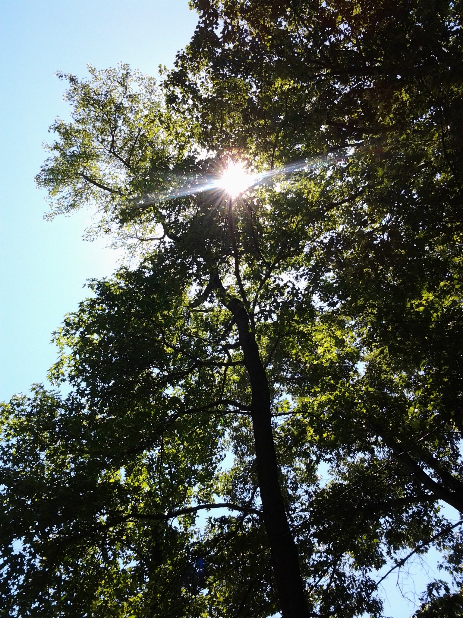 seanehrhard's profile banner image