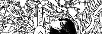 ManFromBearIsle's profile banner image