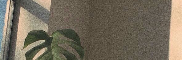 ‘s banner