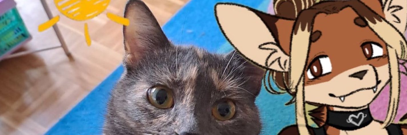 EvilRuuti255's profile banner image