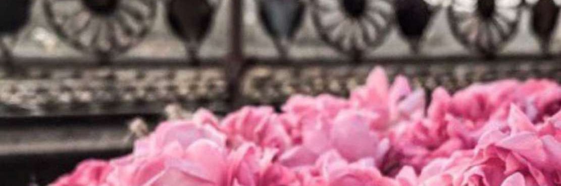fa6ma234's profile banner image