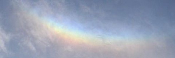 yuzuki_250 Profile Banner