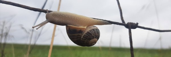 IgnacioArganda Profile Banner