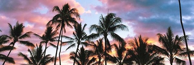 LuanaBarone's profile banner image