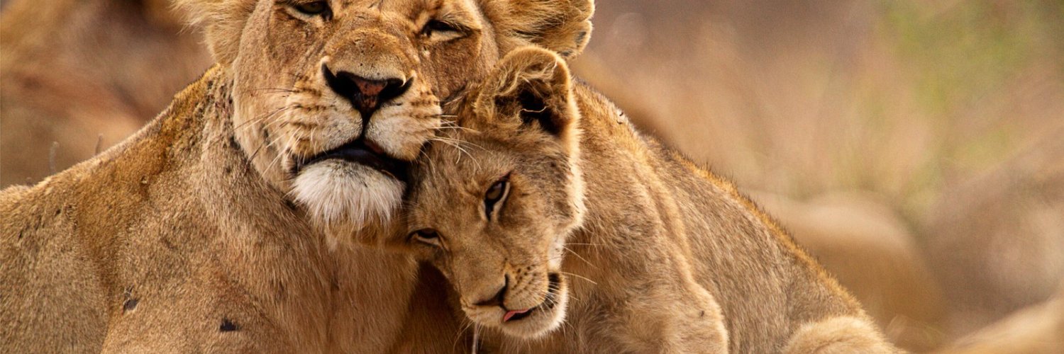 Uganda Tourism Board's banner