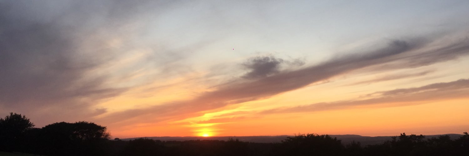 jerryholliday's profile banner image