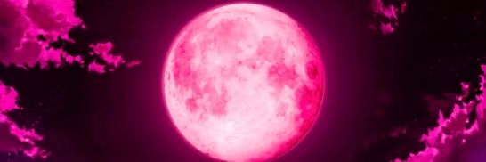 CHOLIVEIRA01's profile banner image