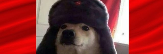 jeils99's profile banner image