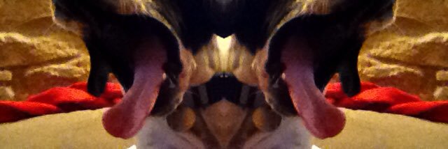 Silvia Hernandez banner