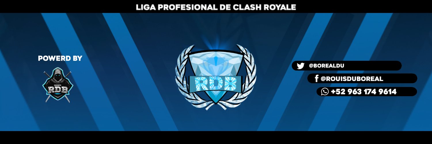 ❄Liga Profesional RDB❄ banner