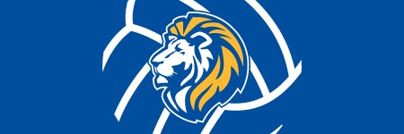 LT Boys Volleyball banner