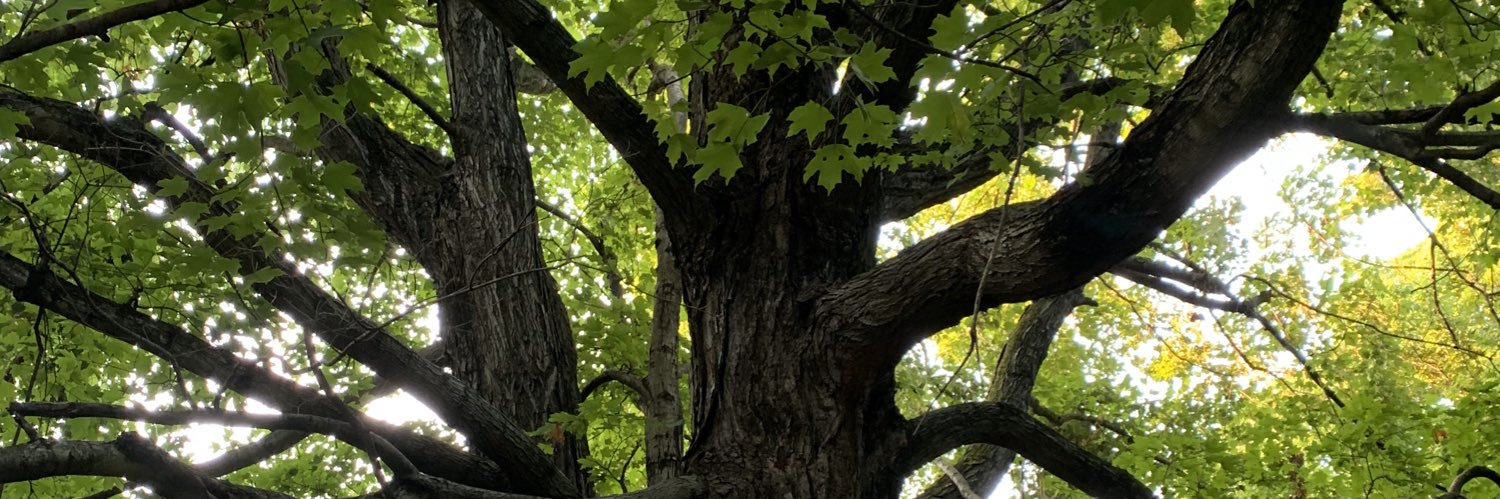 Nashville Tree Conservation Corps banner