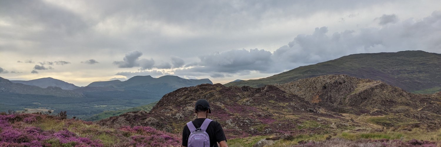 Dr Simone Webb banner