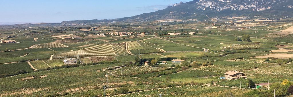 antonio flaqué banner