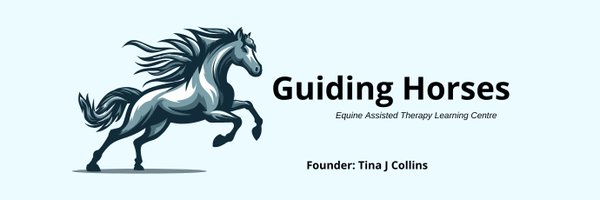 HorsesGuiding Profile Banner