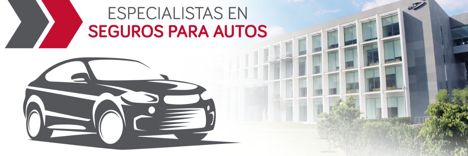 ANASeguros's profile banner image
