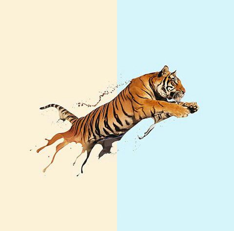 MNasrul8's profile banner image