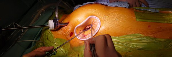 CHeimMD Profile Banner