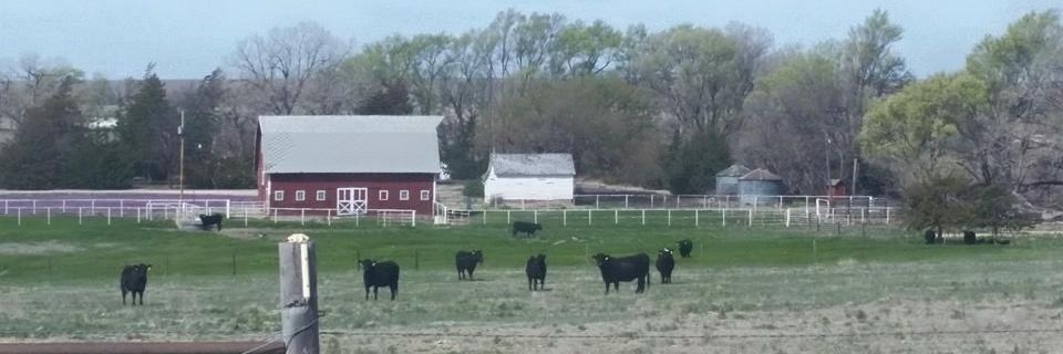 FarmLifeisTheLife banner