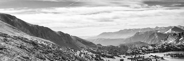 doti Profile Banner
