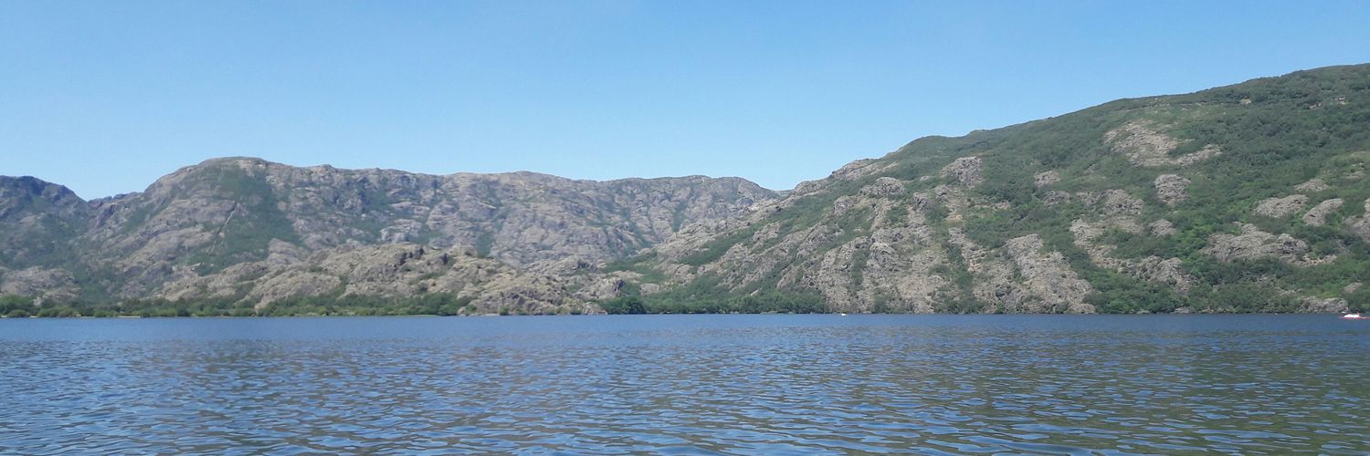 Cristina Bienes banner