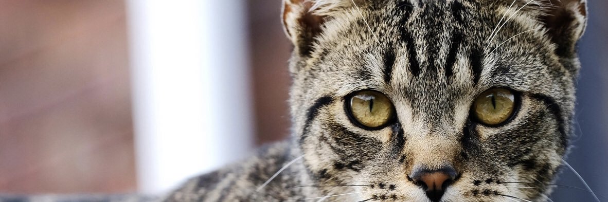 jt9447's profile banner image