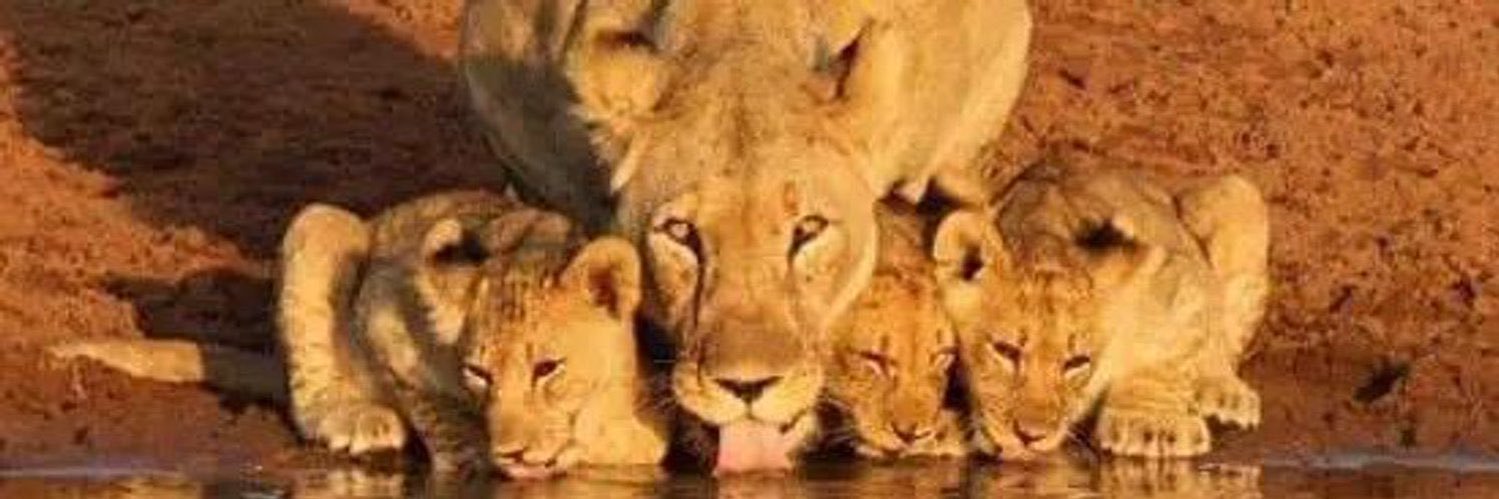 𝐷𝜄𝛼𝑏𝑙𝛼 🧚🏻‍♀️ banner