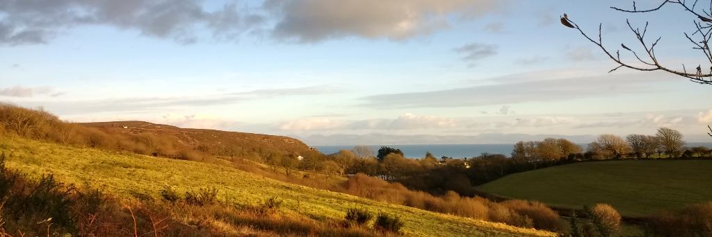 Emptyasapocket banner