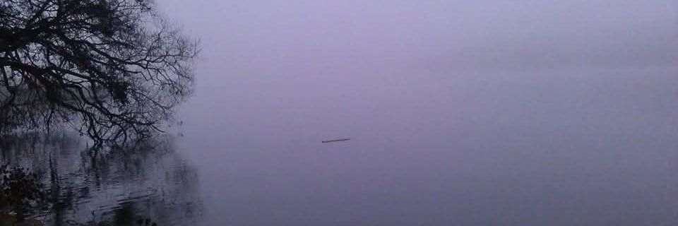 Eva Toller 🌱 🇸🇪 🤝 🇺🇦 banner