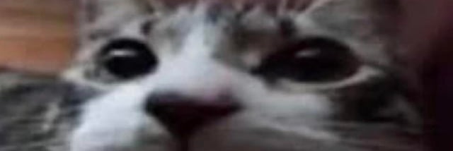 salchipapa promedio banner
