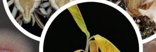 cledy_us Profile Banner